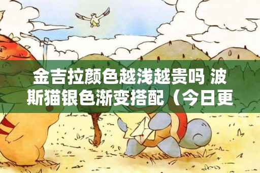 金吉拉顏色越淺越貴嗎 波斯貓銀色漸變搭配（今日更新） 