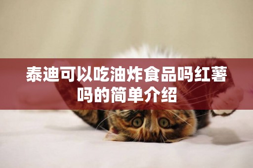 泰迪可以吃油炸食品嗎紅薯嗎的簡單介紹