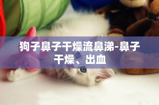 狗子鼻子干燥流鼻涕-鼻子干燥、出血