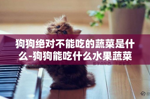 狗狗絕對不能吃的蔬菜是什么-狗狗能吃什么水果蔬菜