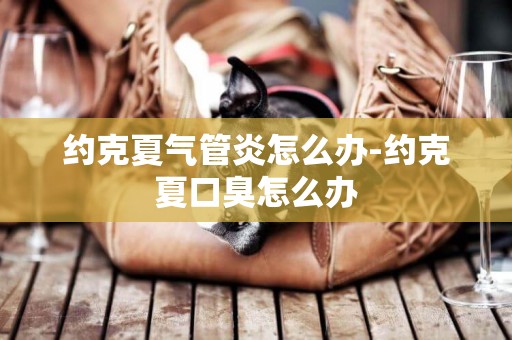 約克夏氣管炎怎么辦-約克夏口臭怎么辦