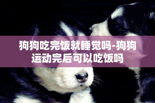 狗狗吃完飯就睡覺嗎-狗狗運動完后可以吃飯嗎