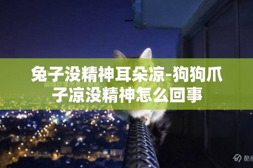 兔子沒精神耳朵涼-狗狗爪子涼沒精神怎么回事