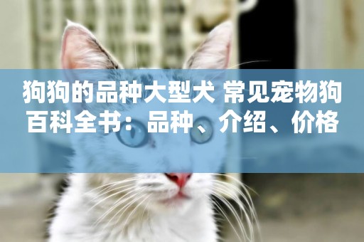 狗狗的品種大型犬 常見寵物狗百科全書：品種、介紹、價格 
