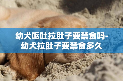 幼犬嘔吐拉肚子要禁食嗎-幼犬拉肚子要禁食多久
