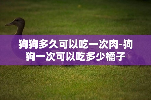 狗狗多久可以吃一次肉-狗狗一次可以吃多少橘子