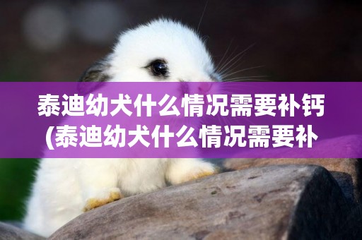 泰迪幼犬什么情況需要補鈣(泰迪幼犬什么情況需要補鈣鐵鋅)
