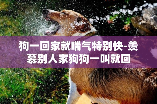 狗一回家就喘氣特別快-羨慕別人家狗狗一叫就回
