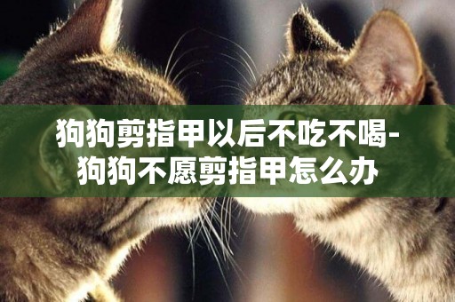 狗狗剪指甲以后不吃不喝-狗狗不愿剪指甲怎么辦