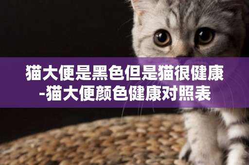 貓大便是黑色但是貓很健康-貓大便顏色健康對照表