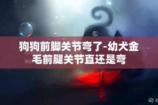 狗狗前腳關節彎了-幼犬金毛前腿關節直還是彎