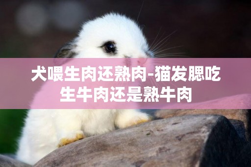 犬喂生肉還熟肉-貓發腮吃生牛肉還是熟牛肉