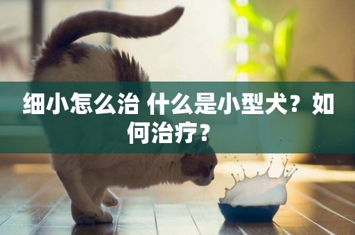 細小怎么治 什么是小型犬？如何治療？ 