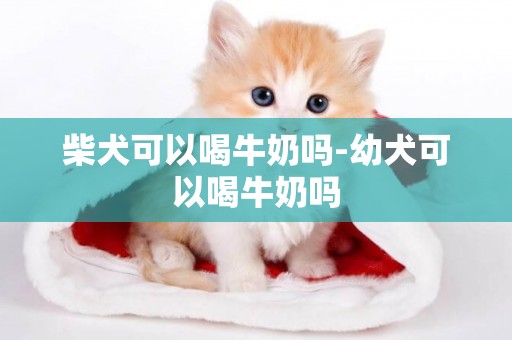 柴犬可以喝牛奶嗎-幼犬可以喝牛奶嗎