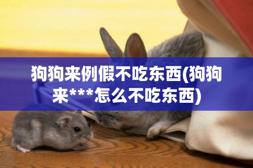 狗狗來例假不吃東西(狗狗來***怎么不吃東西)