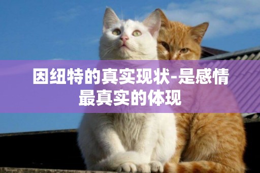 因紐特的真實現狀-是感情最真實的體現