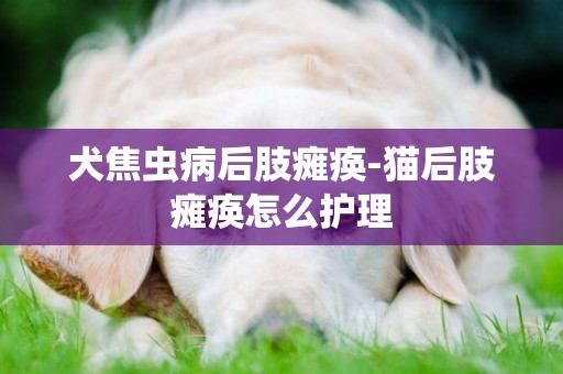 犬焦蟲病后肢癱瘓-貓后肢癱瘓怎么護理