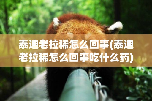 泰迪老拉稀怎么回事(泰迪老拉稀怎么回事吃什么藥)