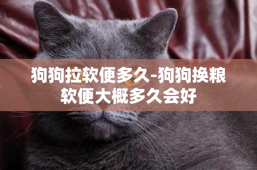 狗狗拉軟便多久-狗狗換糧軟便大概多久會好