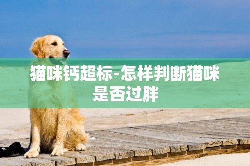 貓咪鈣超標-怎樣判斷貓咪是否過胖