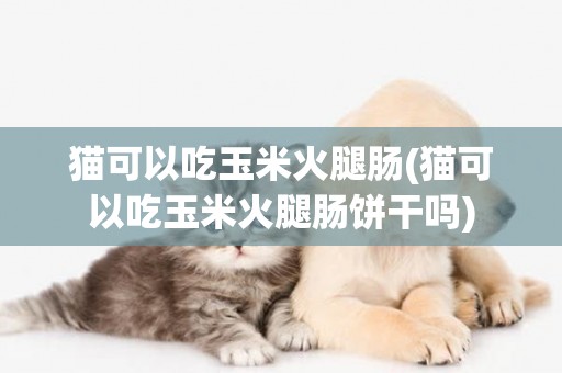 貓可以吃玉米火腿腸(貓可以吃玉米火腿腸餅干嗎)