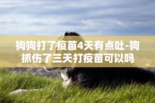 狗狗打了疫苗4天有點吐-狗抓傷了三天打疫苗可以嗎