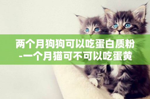 兩個月狗狗可以吃蛋白質粉-一個月貓可不可以吃蛋黃