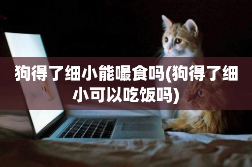 狗得了細小能嘬食嗎(狗得了細小可以吃飯嗎)