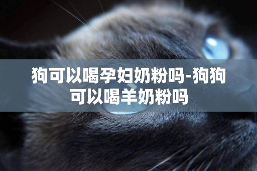 狗可以喝孕婦奶粉嗎-狗狗可以喝羊奶粉嗎