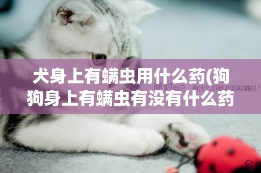 犬身上有螨蟲用什么藥(狗狗身上有螨蟲有沒有什么藥丸可以治療的)