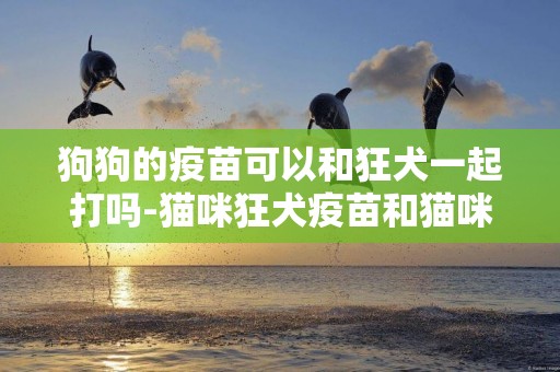 狗狗的疫苗可以和狂犬一起打嗎-貓咪狂犬疫苗和貓咪三聯可以一起打嗎