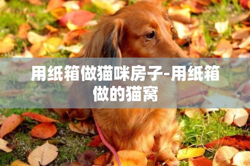 用紙箱做貓咪房子-用紙箱做的貓窩