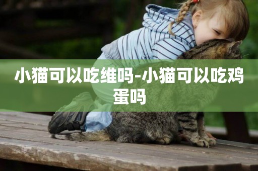 小貓可以吃維嗎-小貓可以吃雞蛋嗎