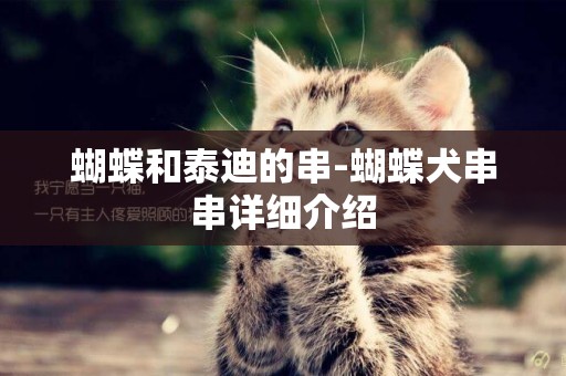 蝴蝶和泰迪的串-蝴蝶犬串串詳細介紹