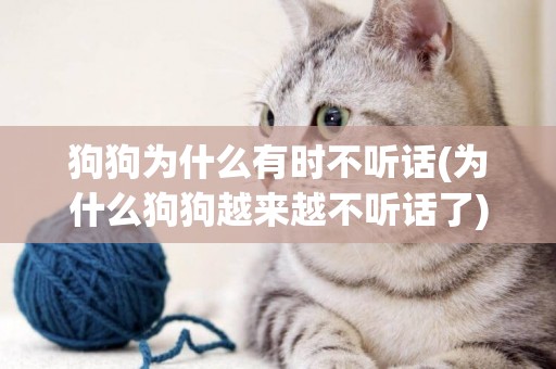 狗狗為什么有時不聽話(為什么狗狗越來越不聽話了)