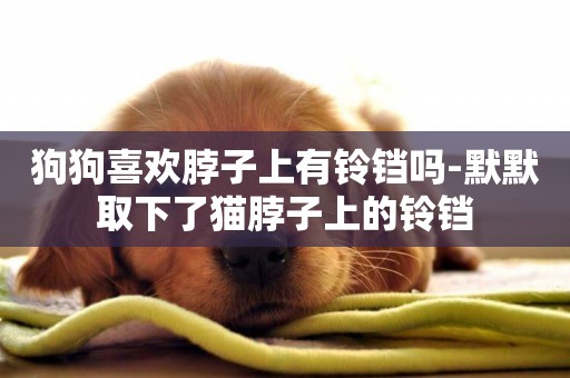 狗狗喜歡脖子上有鈴鐺嗎-默默取下了貓脖子上的鈴鐺