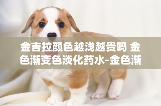 金吉拉顏色越淺越貴嗎 金色漸變色淡化藥水-金色漸變色號科普（2022推薦） 