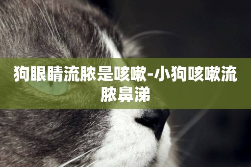 狗眼睛流膿是咳嗽-小狗咳嗽流膿鼻涕