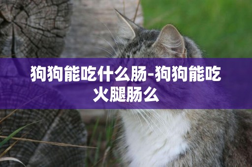 狗狗能吃什么腸-狗狗能吃火腿腸么