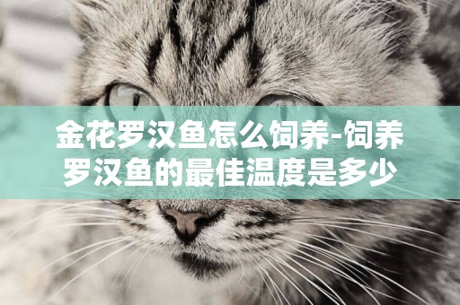 金花羅漢魚怎么飼養-飼養羅漢魚的最佳溫度是多少