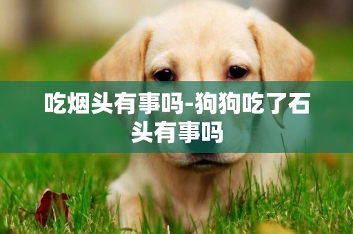 吃煙頭有事嗎-狗狗吃了石頭有事嗎