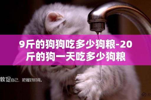 9斤的狗狗吃多少狗糧-20斤的狗一天吃多少狗糧