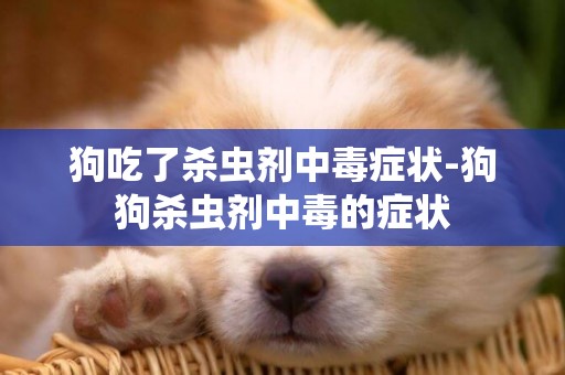 狗吃了殺蟲劑中毒癥狀-狗狗殺蟲劑中毒的癥狀