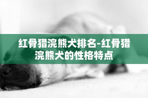 紅骨獵浣熊犬排名-紅骨獵浣熊犬的性格特點