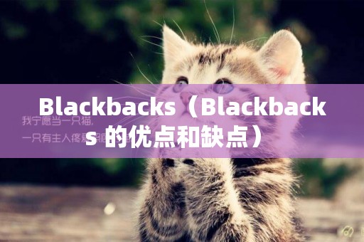 Blackbacks（Blackbacks 的優點和缺點） 