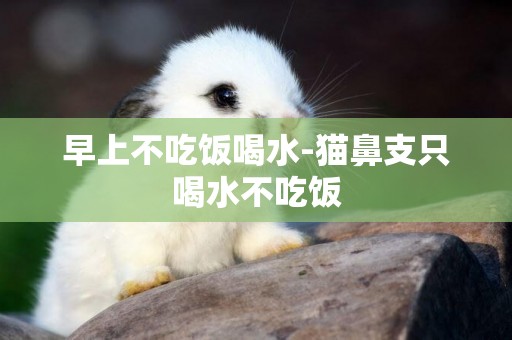 早上不吃飯喝水-貓鼻支只喝水不吃飯