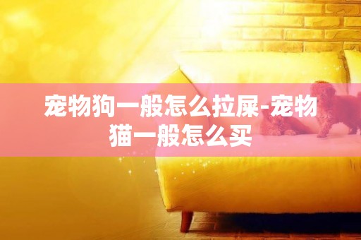 寵物狗一般怎么拉屎-寵物貓一般怎么買