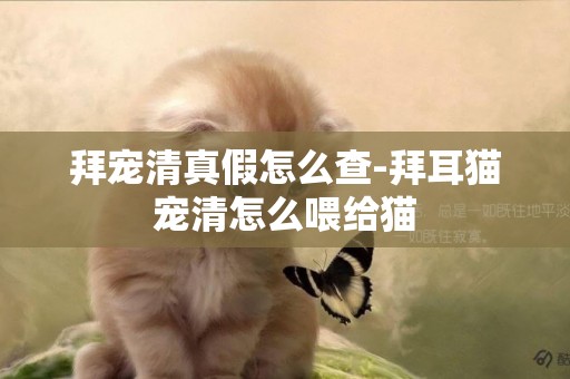 拜寵清真假怎么查-拜耳貓寵清怎么喂給貓