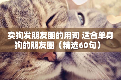 賣狗發朋友圈的用詞 適合單身狗的朋友圈（精選60句） 