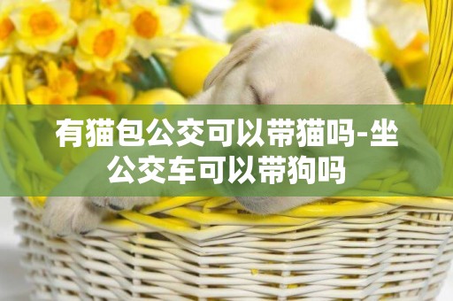有貓包公交可以帶貓嗎-坐公交車可以帶狗嗎